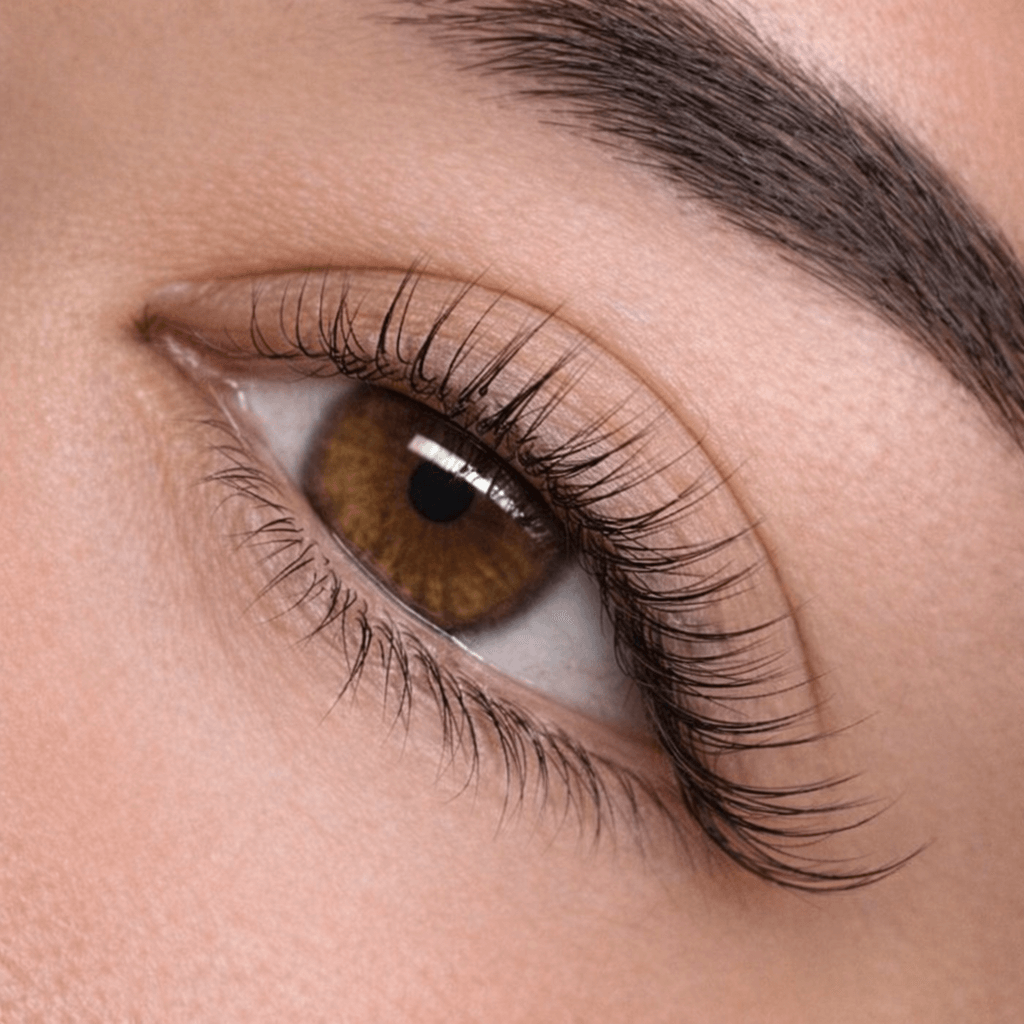 Bottom Lash Extensions Service Miami
