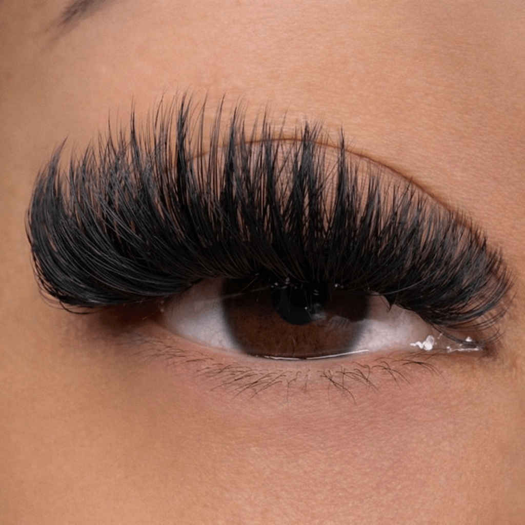 Mega Volume Lash Extensions Service Miami
