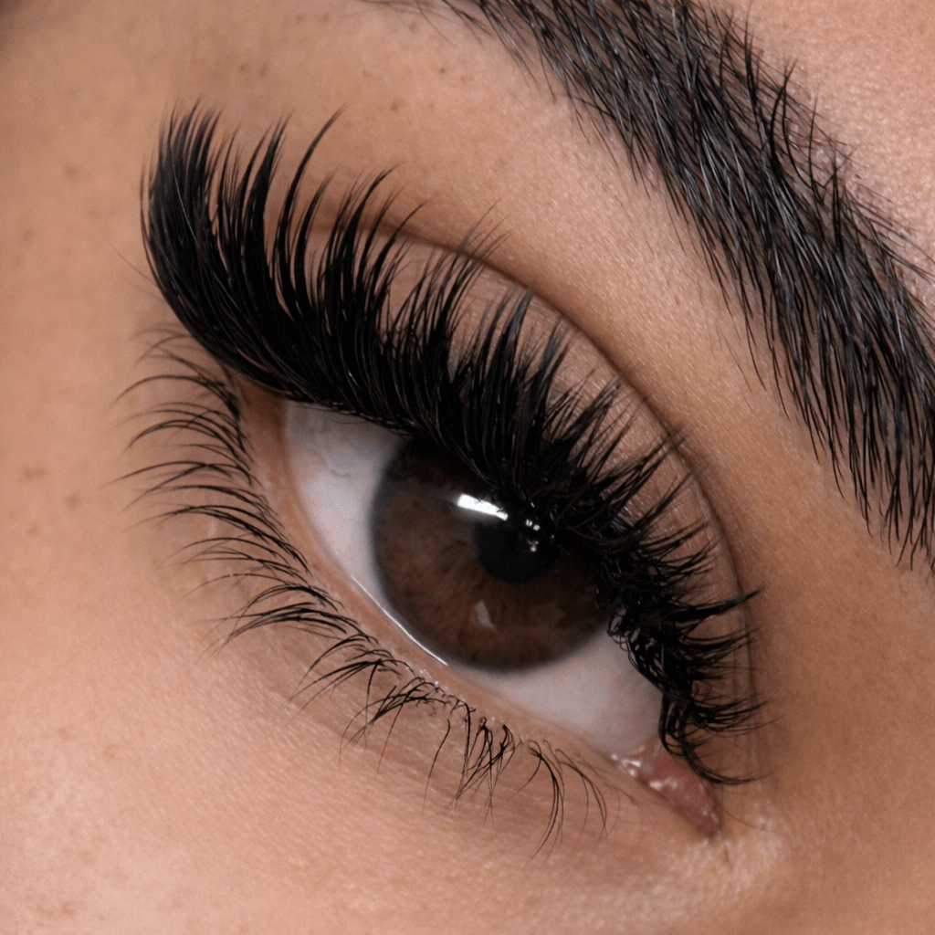Wispy Wet Volume Lash Extensions Service Miami